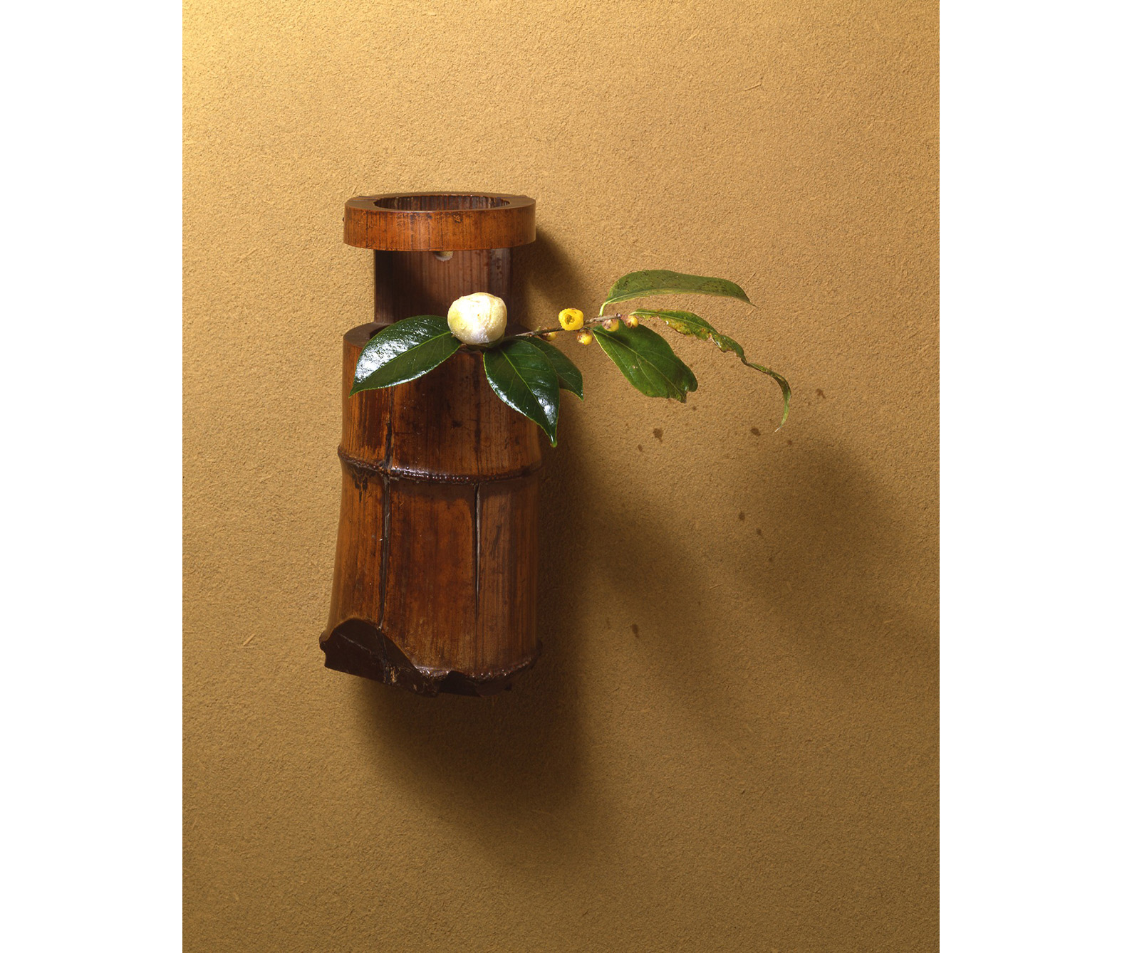 大日本茶道学会 – 公益財団法人三徳庵 » 【今月の茶花】平成30年12月の茶花